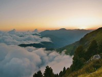 欧乐影视小卡片：问题标题是不是承诺过头｜动作把来源写成可核对描述｜感受先把边界写明