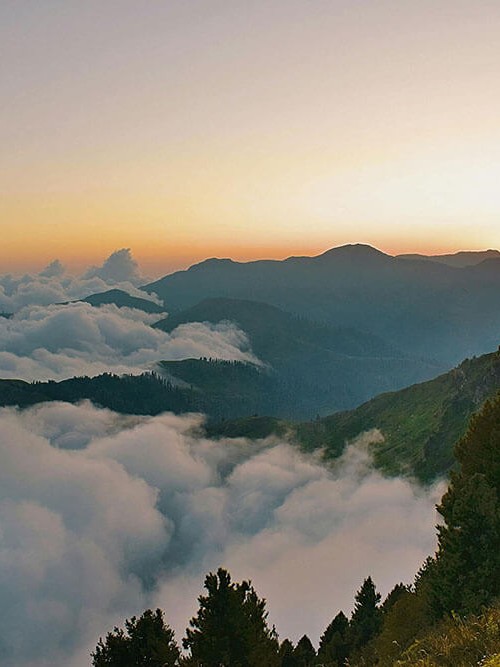 欧乐影视小卡片：问题标题是不是承诺过头｜动作把来源写成可核对描述｜感受先把边界写明